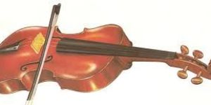 String Musical Instrument