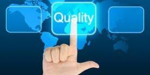 Website and Software Localization Services