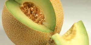 Fresh Muskmelon