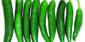 Fresh Green Chilli