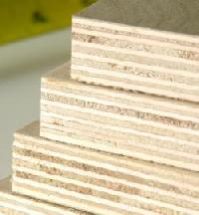 Veneer Hardwood Plywood