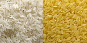 Indian Rice