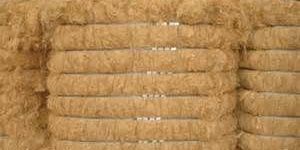 Coconut Coir Fiber