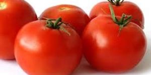 Fresh Tomato