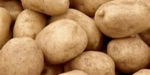 Potato