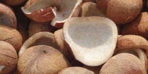 Coconut Copra