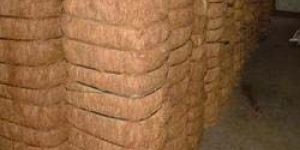 Coir Fibre