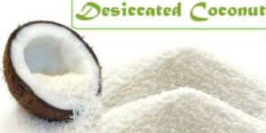 Desiccated Coconut Powder