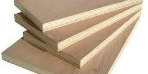 Plain Particle Board