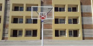 Basketball Pole