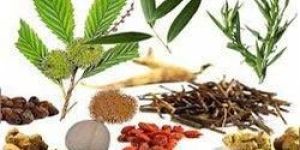 Herbal Extracts