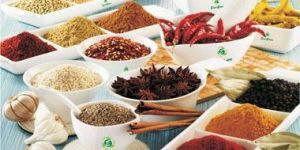 Indian Spices