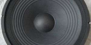 Professional PA Speaker