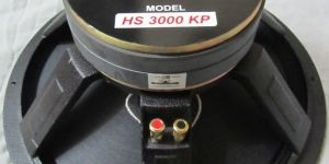 Professional PA Speaker