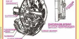 Chart Printing Service