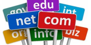 Domain Name Transfer