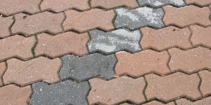 Interlocking Paver Block