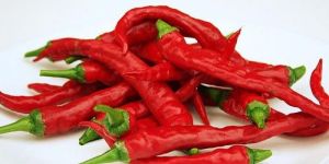 Fresh Red Chilli