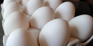 Poultry Eggs