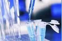 Amikacin Sulphate Sterile