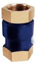 Vertical Check Valve