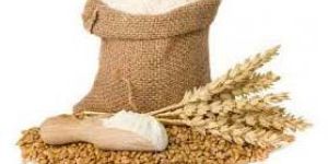 Wheat Flour
