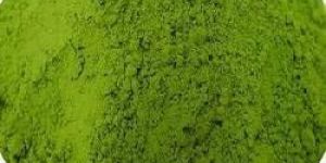 Senna  Leaves Powder