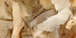 Coconut Chips Chikki