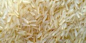 Pure Pussa Basmati Golden Rice