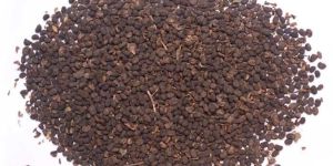 Psoralea Corylifolia (Bavachi)