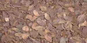 Punica Granatum (Andardana)