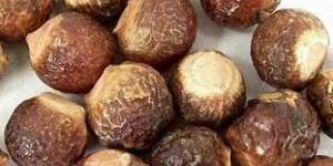 Sapindus Mukorossi (Areetha)