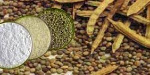 Guar Gum Seeds