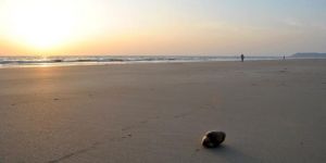 Giggling Guhagar Tour Service