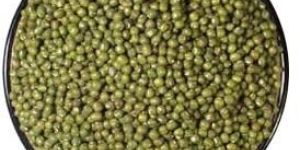Moong Seeds