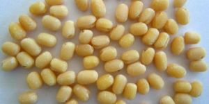 Washed Urad Dal