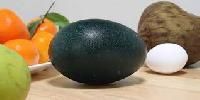Emu Egg