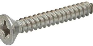 Self Tapping Screws