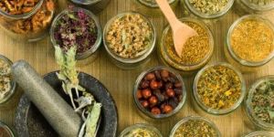 Cancer Treatment Services