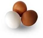 Chicken Eggs