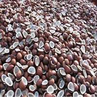 Coconut Copra