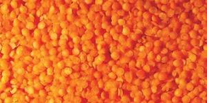 Red Split Lentils