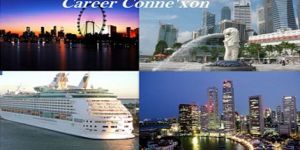 Training Employment Pass