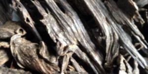 Agarwood Chips