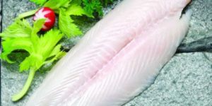 Basa Frozen Fish Fillets