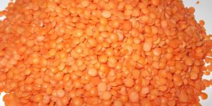 Red Masoor Dal