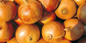 Brown Onion