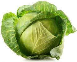 Fresh Cabbage