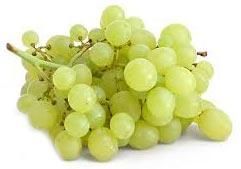 Fresh Grapes