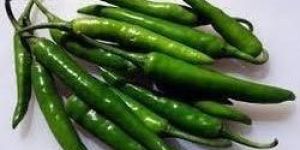 Fresh Green Chillies